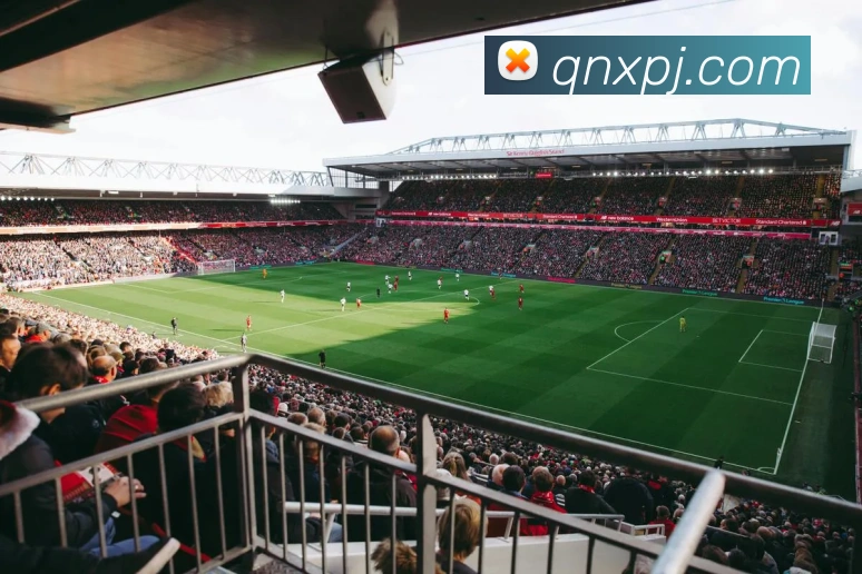 澳门新葡京官方网站品牌故事